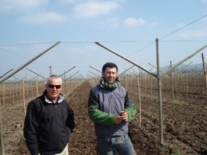 Chile EG-Traubensystem liefert hohe Erträge