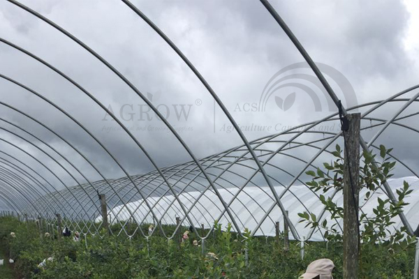Vineyard Fruit Zone Vogelschutznetzsystem